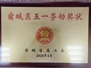 2020天泓楚漢宿遷市宿城區“五一勞動獎狀”